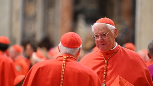 Vatican : un cardinal égratigne le pape François dans un livre au vitriol