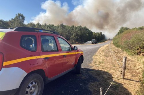 Incendie dans le Morbihan : 230 hectares brûlés à proximité de la forêt de Brocéliande