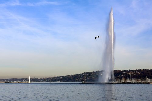Genève étudie la possibilité de repêcher les centaines de tonnes de munitions immergées dans le lac Léman