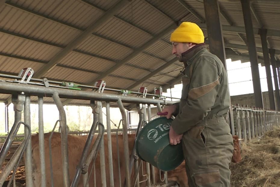 « On ne veut pas que les cadavres traînent » : deux sociétés d’équarrissage en conflit, les agriculteurs inquiets