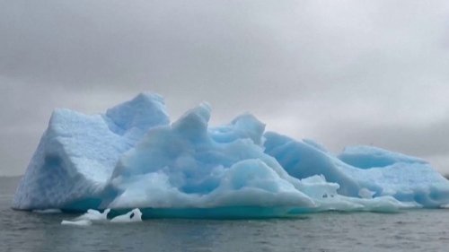 Alaska : collision spectaculaire entre un bateau de croisière et un iceberg