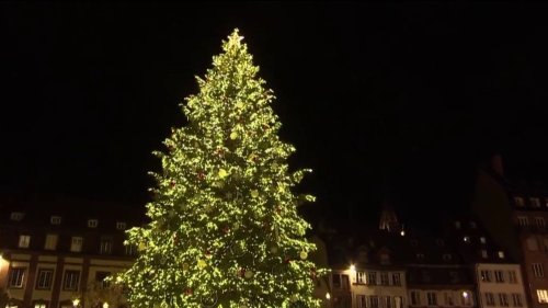 Noël et fêtes de fin d'année : quand le marché de Strasbourg se met au vert