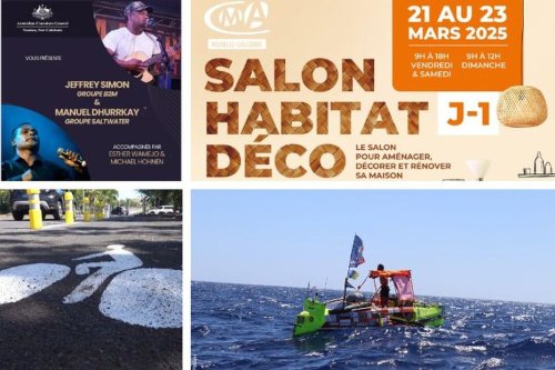 L'agenda sorties du 21 au 27 mars 2025 : salon Habitat déco, musiciens australiens, vélo ou spectacles