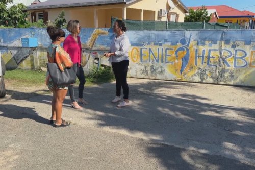 Le tribunal administratif suspend la fermeture de l'école privée "Génie en herbe"