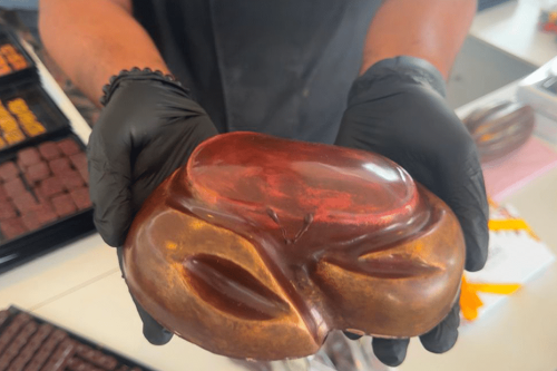 VIDÉO. L'essor plein de promesses de la filière cacao de Martinique