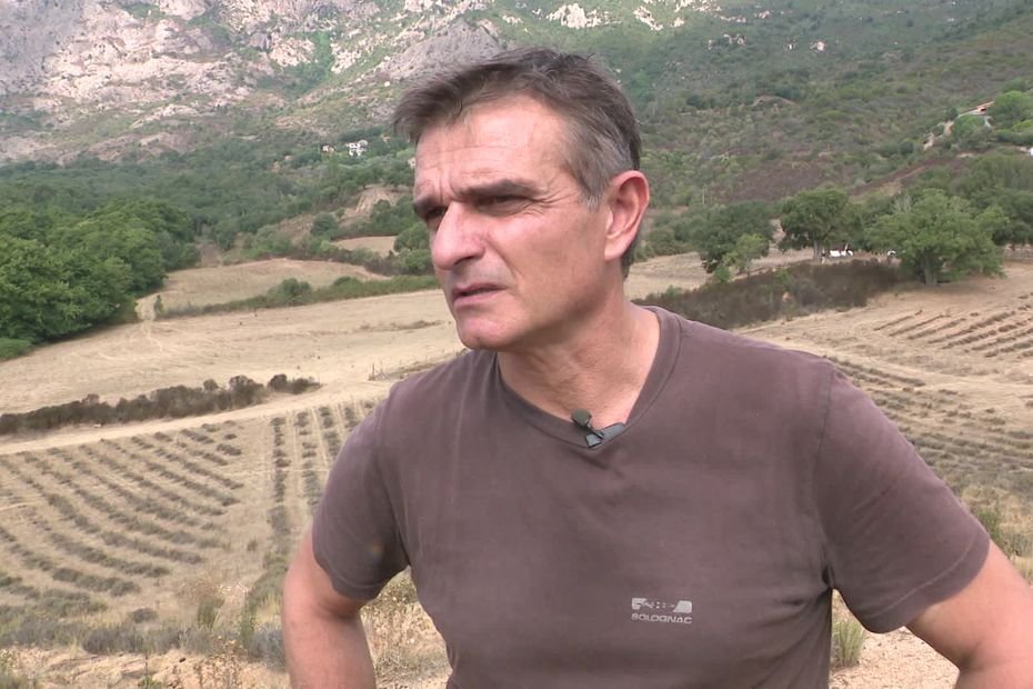 « C’est ici la démocratie qui est assassinée », « un meurtre qui ne doit pas rester impuni », l’assassinat de Pierre Alessandri émeut et interroge aussi au-delà de la Corse