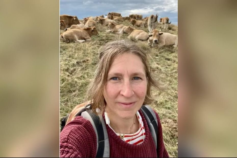 Témoignage. « Elle m’a broyé la cage thoracique » : ses vaches deviennent agressives après une attaque de loup