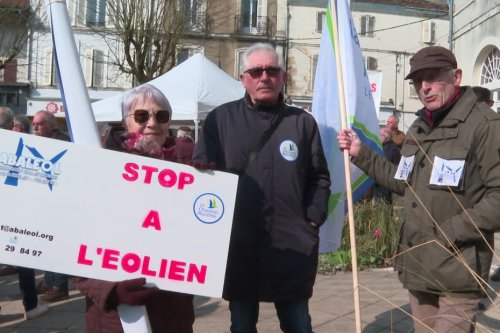 "Il y en a beaucoup trop" : entourés par les éoliennes, ces habitants manifestent contre l'enlaidissement des campagnes