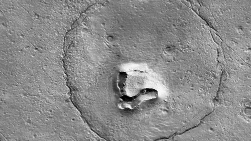 "Un ours sur Mars ?" La NASA partage une photo étonnante de la planète rouge