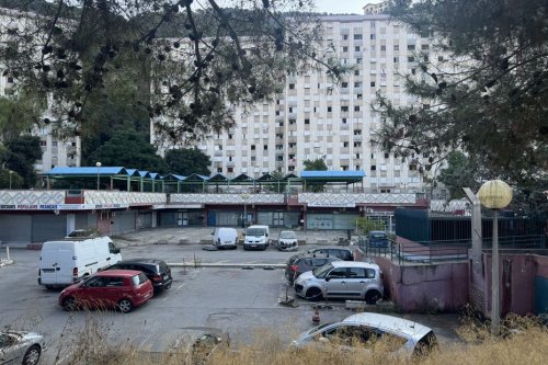 Découverte de stupéfiants, d'une arme et de cinq gilets pare-balles dans un immeuble à Nice