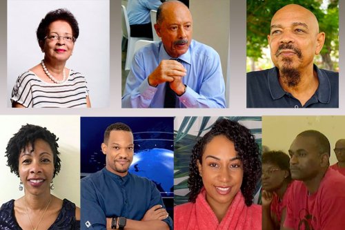 Crise sanitaire : le "comité citoyen de transparence" met fin à ses activités - Martinique la 1ère