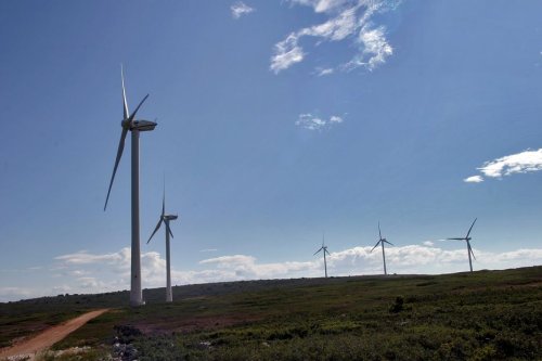 Environnement : les éoliennes sont-elles responsables de la mort de plusieurs centaines de faucons, la justice se prononce ce lundi