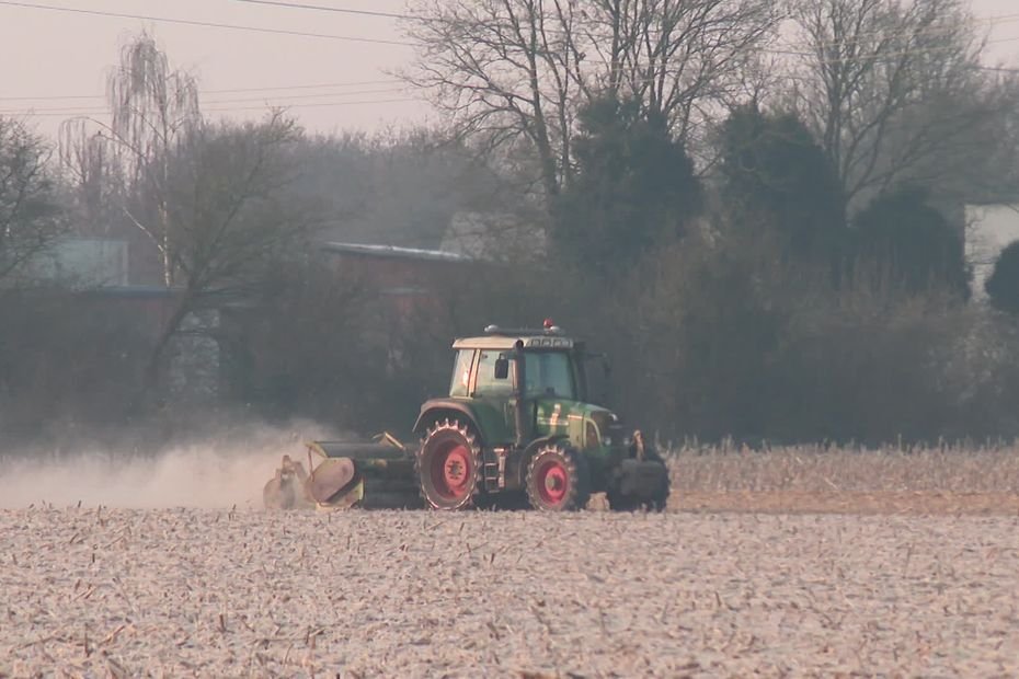 « On a la possibilité d’influer sur le modèle agricole à notre échelle », les agriculteurs élisent leurs représentants