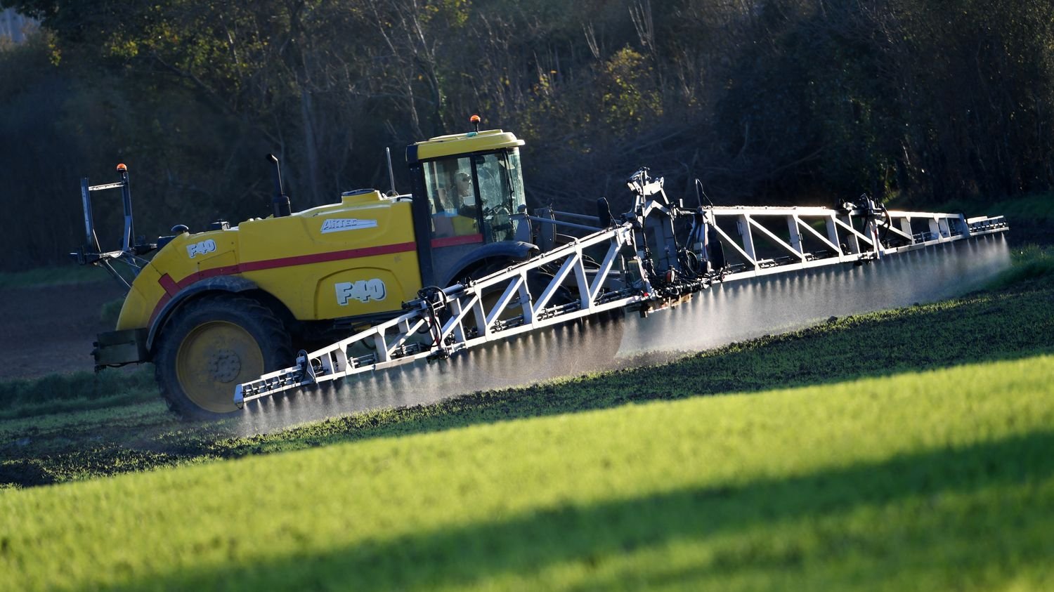 Pesticides : l’agence sanitaire alerte sur des risques pour la santé des jeunes enfants