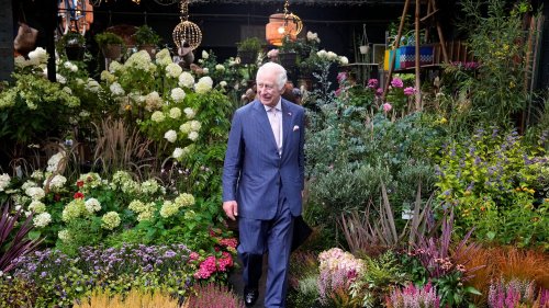 Direct Visite de Charles III en France : "Merci pour votre engagement pour la biodiversité", lance Emmanuel Macron au roi d'Angleterre