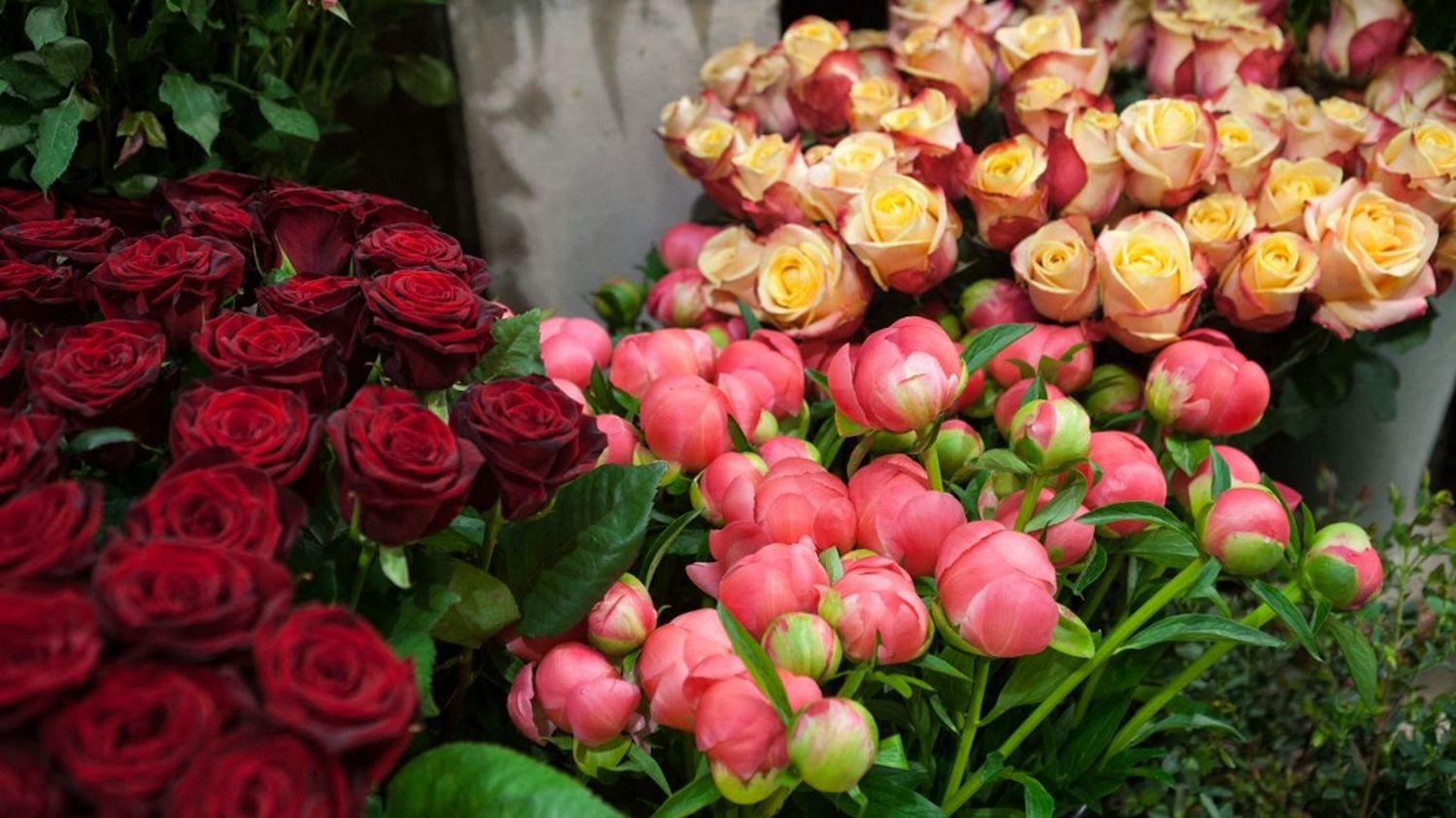 Pesticides : « 100 % des fleurs testées sont contaminées », révèle l’association de consommateurs UFC Que choisir