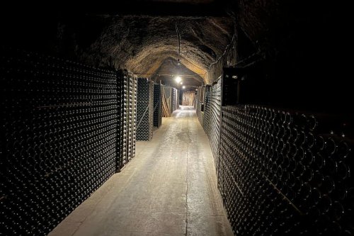 Malgré la taxe à 200 %, "les vins français auront toujours leur place aux États-Unis", inquiétude mesurée chez les viticulteurs après les menaces de Trump