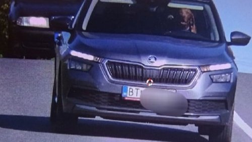 Slovaquie : un chien a été filmé en excès de vitesse au volant d'une voiture