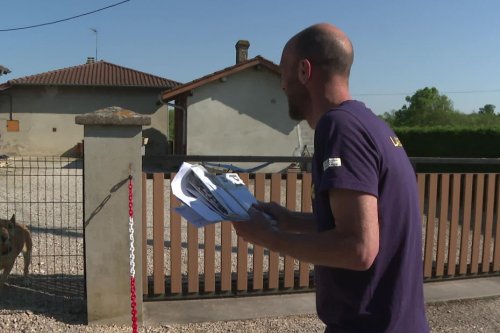 Morsures de chien : "le meilleur ami de l'Homme, l'ennemi du facteur", une formation pour les agents de La Poste