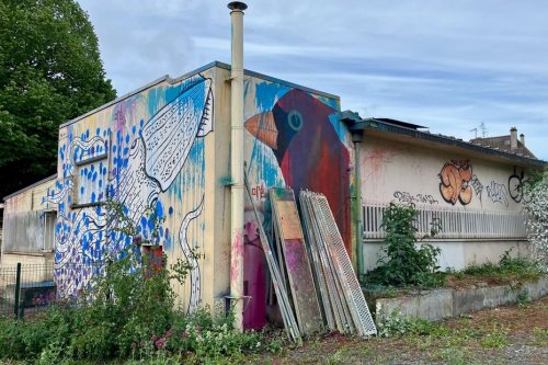 "Merci d'avoir bousillé mes fresques" : Après la polémique, la ville répond à ce street-artiste