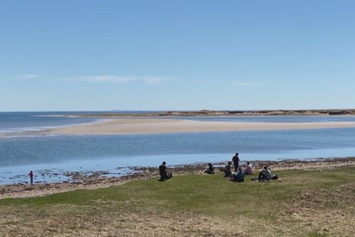 Fête de la nature à Miquelon : Initiation à la pêche à la mouche et observation d'oiseaux dans le Grand Barachois