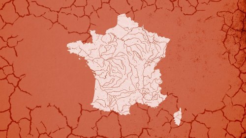 Cartes Sécheresse : suivez en temps réel le niveau des nappes phréatiques et des cours d'eau en France