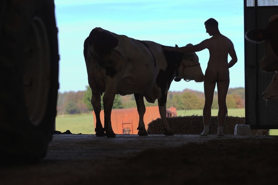 Des agriculteurs mis à nu pour la nouvelle année : « les gens se rendent comptent que ce n’est pas un métier facile »