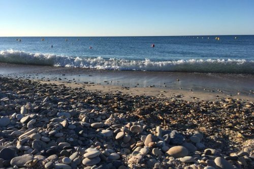 "Urbanisation, surfréquentation", ces dangers qui menacent les plages de galets en Méditerranée