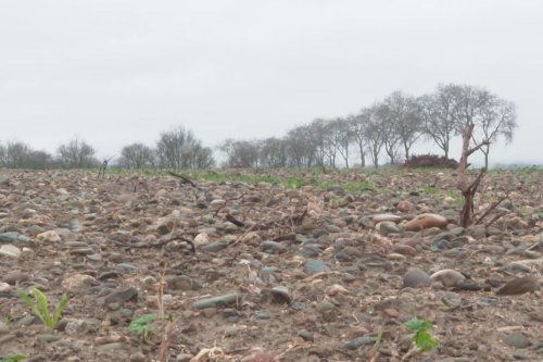 VIDEO. Viticulture en crise : taxe foncière, emploi, paysage... ce petit village d'Occitanie sous le choc de l’arrachage des vignes