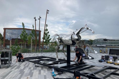 Zeus, le cheval des Jeux Olympiques est arrivé à Rouen
