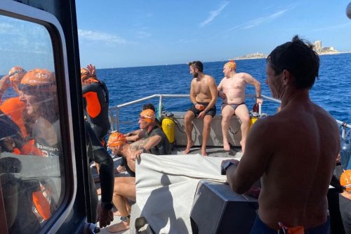Un banc de méduses attaque les nageurs du Défi Monte Cristo, dans la baie de Marseille