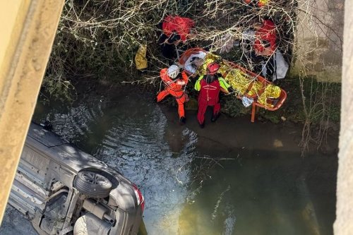 Impressionnante chute de 10 mètres d'une voiture dans une rivière : une femme et son chien secourus par les pompiers spécialisés
