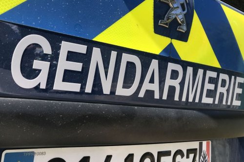 Jeune fille agressée dans un train en Sarthe : la gendarmerie recherche l'homme qui a mis en fuite les deux agresseurs