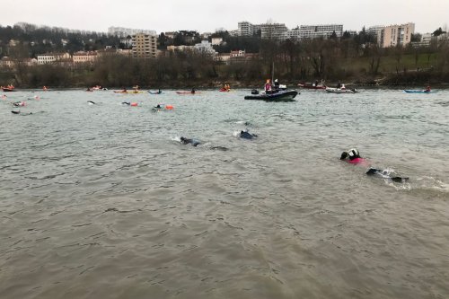 Lyon : 230 nageurs ont bravé l'eau froide pour la 41ème Traversée de Lyon à la nage avec palmes