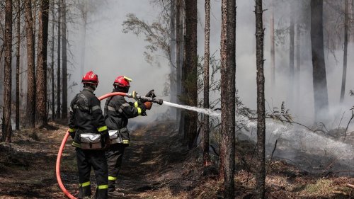 Incendie en Gironde : le feu près de Landiras est fixé, annonce la préfecture