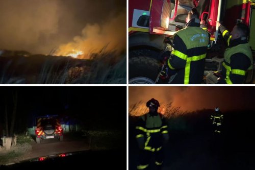 Violent incendie dans les Pyrénées-Orientales : "des flammes entre 4 et 10 m de haut", 60 hectares ravagés par le feu près de Perpignan