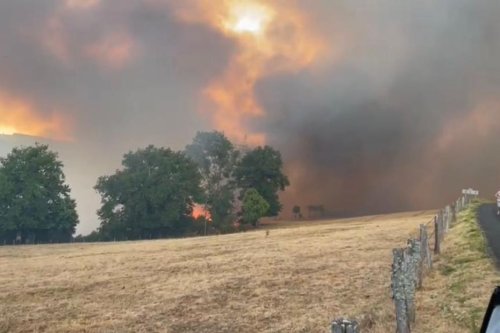 Incendie dans l'Aveyron : le feu près du village de Saint-Hippolyte est fixé