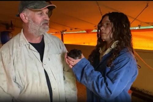 "Mon père a traversé de nombreuses épreuves" : un agriculteur doit rembourser 75 000 euros, sa fille de 17 ans se bat pour sauver la ferme familiale