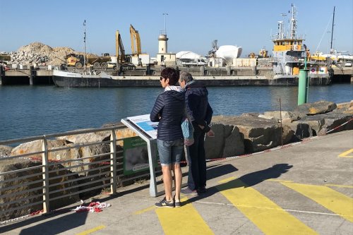 La Turballe : chantier d'agrandissement du port pour accueillir les navires de maintenance du parc éolien du Croisic