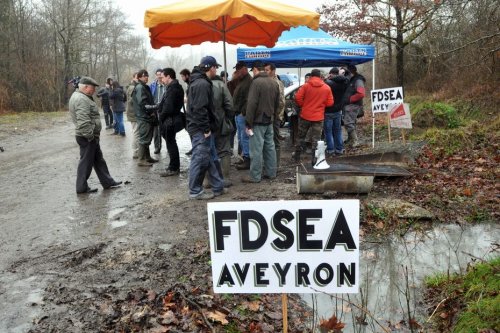 L'équation impossible des agriculteurs pour toucher le RSA : 15 heures "d'activité" conjuguées à de (très) longues journées de labeur