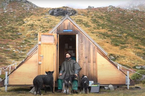 "On ne veut plus être méprisés" : des bergers font du rap pour dénoncer les conditions d'hébergement en montagne