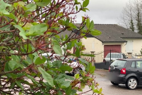 Ossements retrouvés dans un cabanon de jardin à Limoges : la victime identifiée