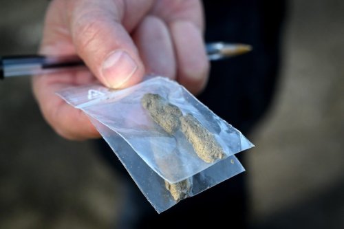 Près de 300 kilos de cannabis saisis à Villeurbanne