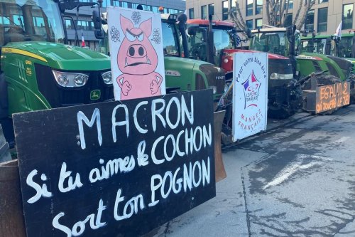 Agriculture : "dans le rouge", les éleveurs de porc en convoi jusqu'à la préfecture des Côtes-d'Armor