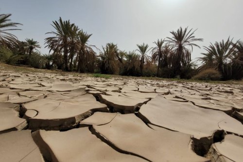 Comment des bénévoles azuréens relèvent le défi du réchauffement climatique au Maroc
