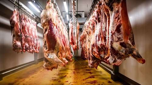 Exportation de viande bas de gamme : "Cette tendance augmente de plus en plus" en France, alerte Oxfam France