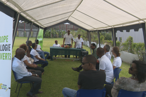 Législatives 2022 : pas de fusion à Gauche pour les Ecologistes de Guadeloupe