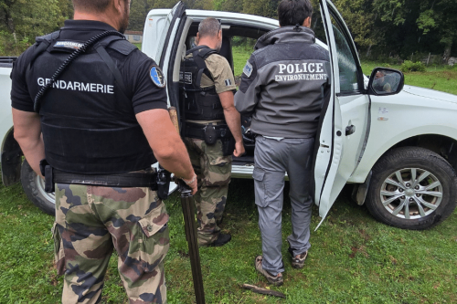 Opération de lutte contre la chasse illégale à San-Gavino-di-Carbini : trois chasseurs contrôlés en infraction