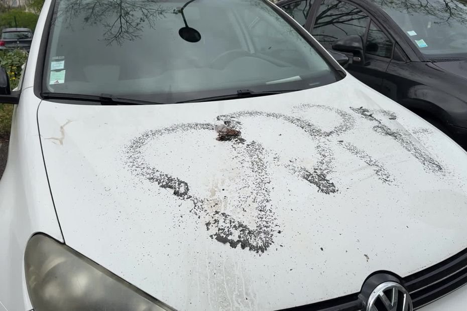 "Il y avait un bidon enflammé parterre" : des agents pénitentiaires visés chez eux, une voiture brûlée, d'autres taguées