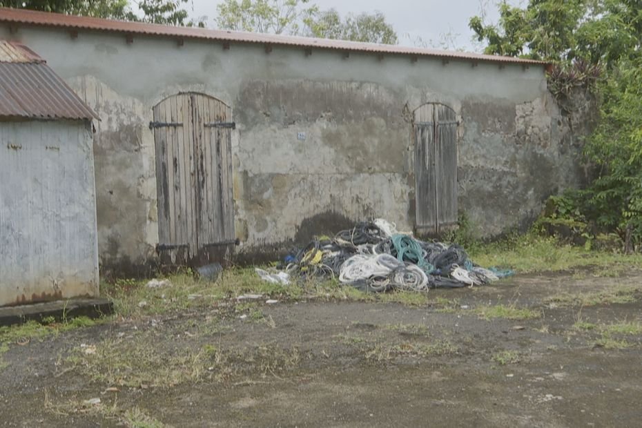 Chevalier de Saint-George : l’Habitation de Clairefontaine, son lieu de naissance en Guadeloupe, un site à préserver